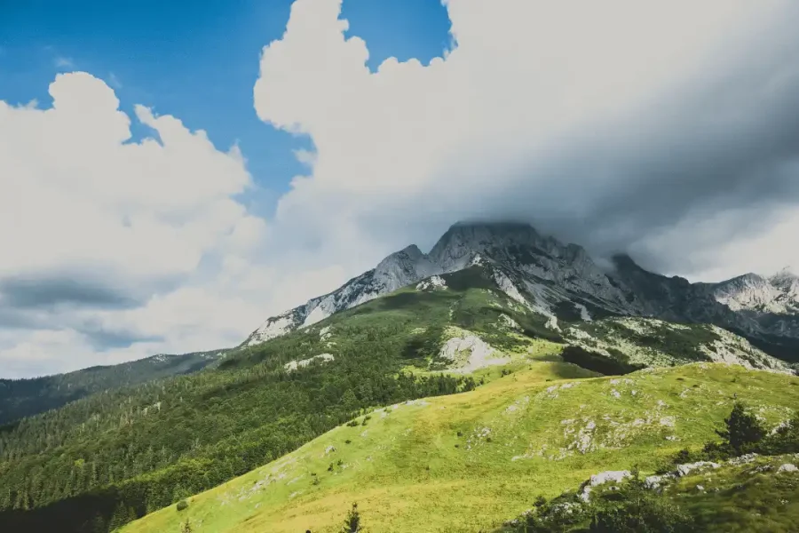 Tara rafting i Nacionalni park Sutjeska