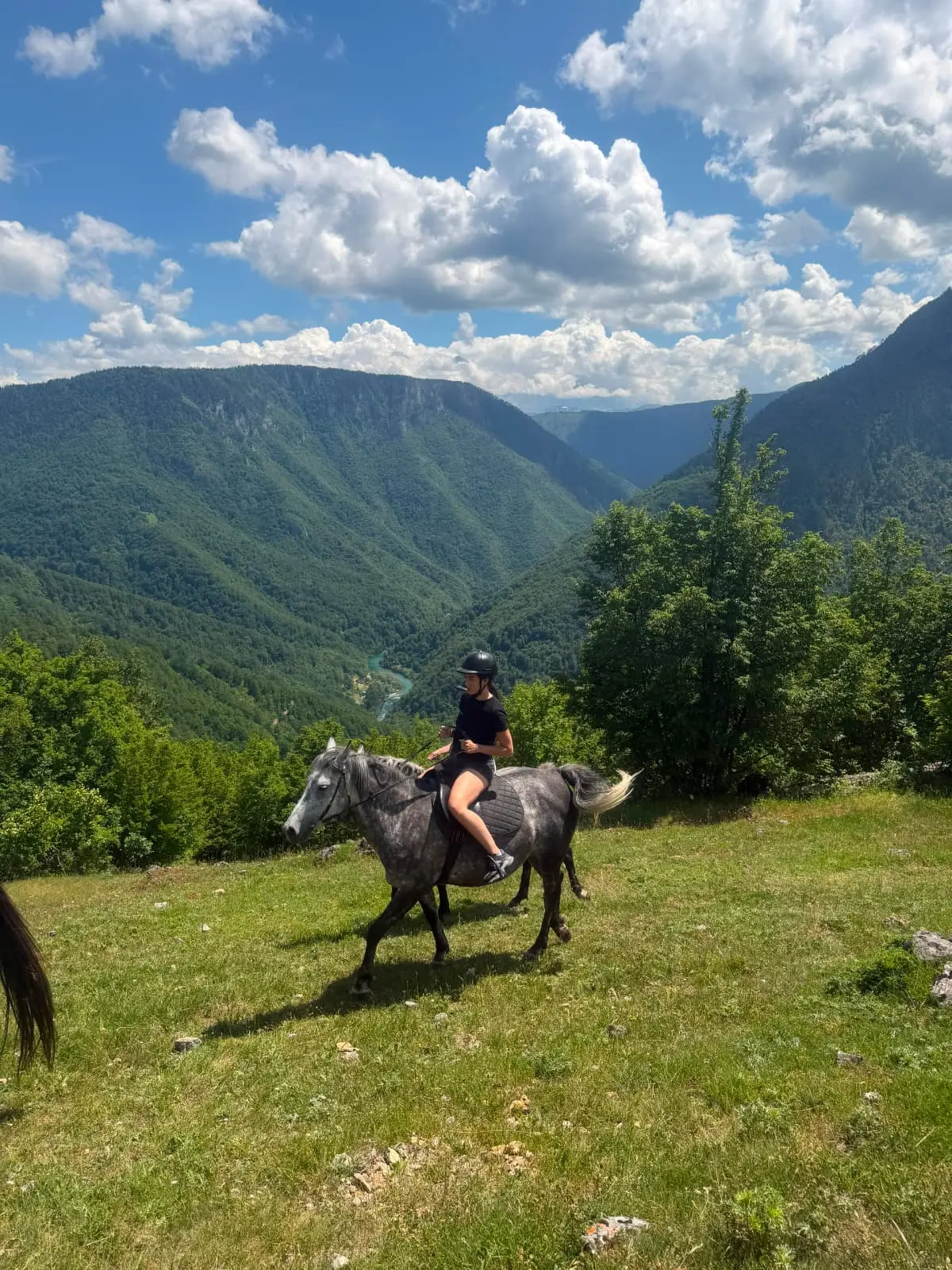 Kanjon Tare sa ergelom konja