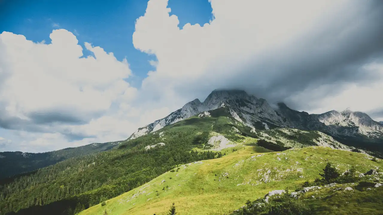 Tara rafting i NP Sutjeska