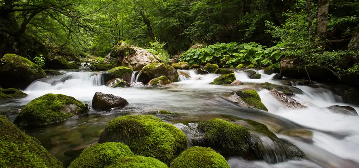 Kanjoning Hrčavkom i Tara rafting