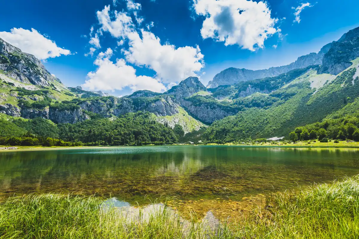 Rafting na Tari i Trnovačko jezero